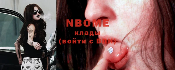 прущие грибы Абинск