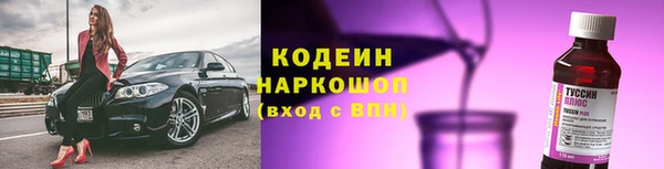 прущие грибы Абинск