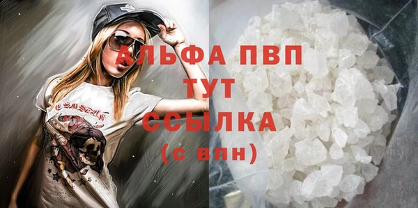 прущие грибы Абинск