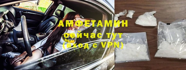 прущие грибы Абинск
