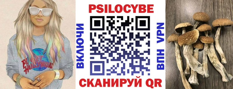 как найти наркотики  Щёкино  Псилоцибиновые грибы MAGIC MUSHROOMS 